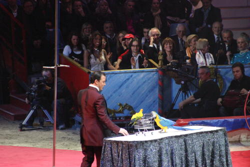 Fotos Gala des 32. Zirkusfestival in Monte Carlo 2008