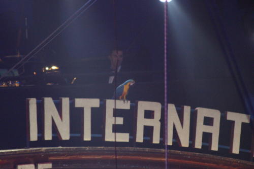 Fotos Gala des 32. Zirkusfestival in Monte Carlo 2008