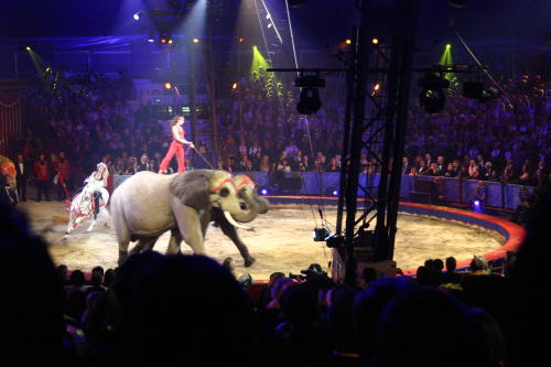 Fotos Gala des 32. Zirkusfestival in Monte Carlo 2008
