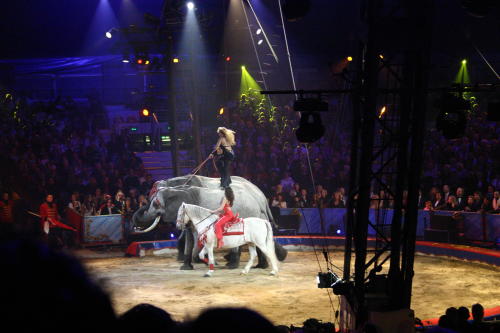 Fotos Gala des 32. Zirkusfestival in Monte Carlo 2008