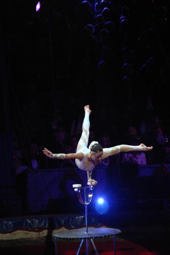 Fotos Gala des 32. Zirkusfestival in Monte Carlo 2008
