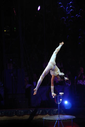 Fotos Gala des 32. Zirkusfestival in Monte Carlo 2008