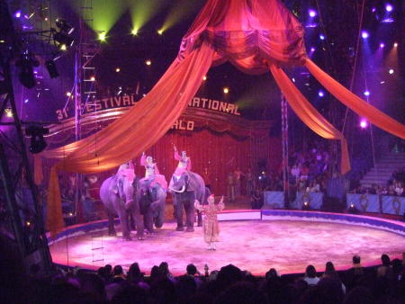 Auswahlvorstellungen Monte Carlo 2007