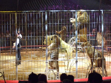 Auswahlvorstellungen Monte Carlo 2007