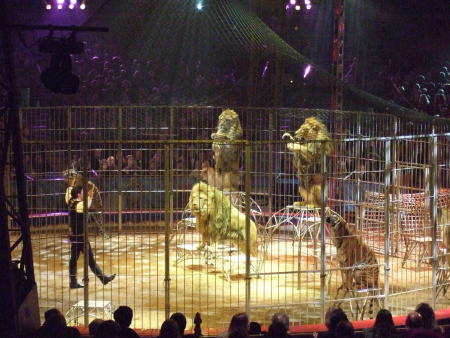 31. Zirkusfestival von Monte Carlo 2007