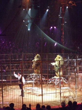 31. Zirkusfestival von Monte Carlo 2007