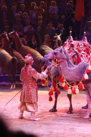 31. Zirkusfestival von Monte Carlo 2007