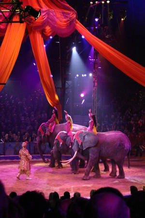 31. Zirkusfestival von Monte Carlo 2007