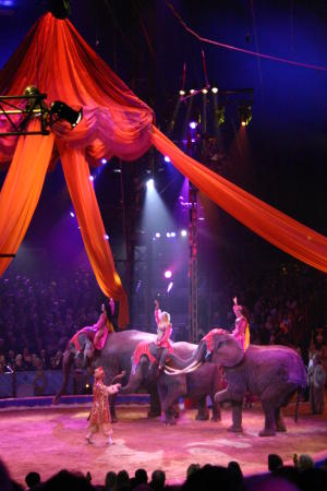31. Zirkusfestival von Monte Carlo 2007