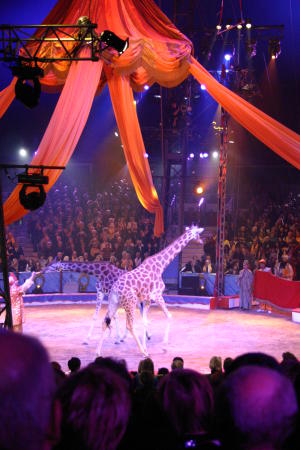 31. Zirkusfestival von Monte Carlo 2007