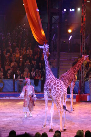 31. Zirkusfestival von Monte Carlo 2007