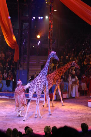 31. Zirkusfestival von Monte Carlo 2007
