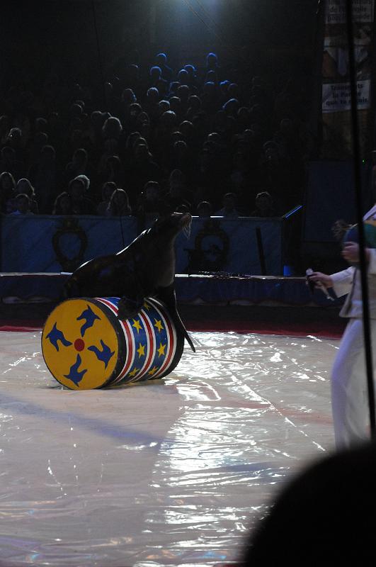 DSC_3776.JPG